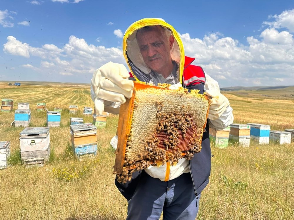 Kars'ta Arıcılık Sezonunda Saha Denetimleri Sürüyor.. Kovanlar Tek Tek İnceleniyor!