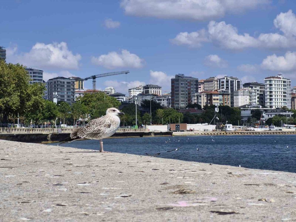 Sıcaktan Bunalan İ̇stanbullular Kendini Caddebostan Sahili’ne Attı