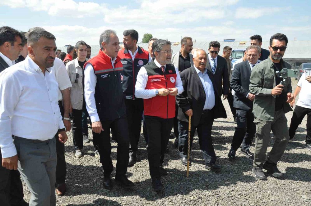 Büyükbaş Hayvancılıkta Dijital Dönüşüm Başladı.. GEKİS'in İlk Tanıtımı Kars'ta Yapıldı!