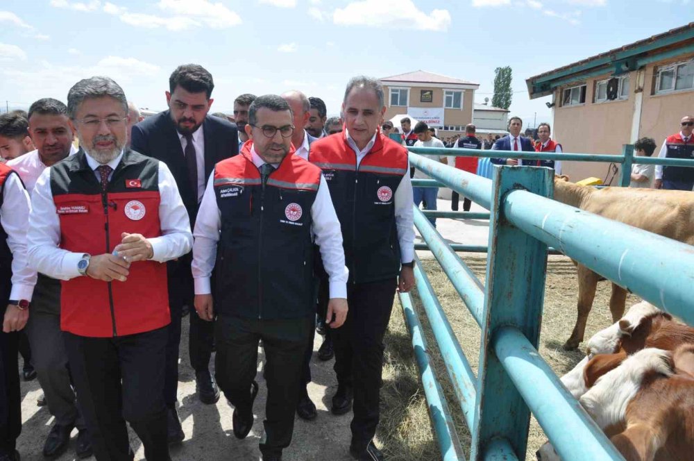 Büyükbaş Hayvancılıkta Dijital Dönüşüm Başladı.. GEKİS'in İlk Tanıtımı Kars'ta Yapıldı!
