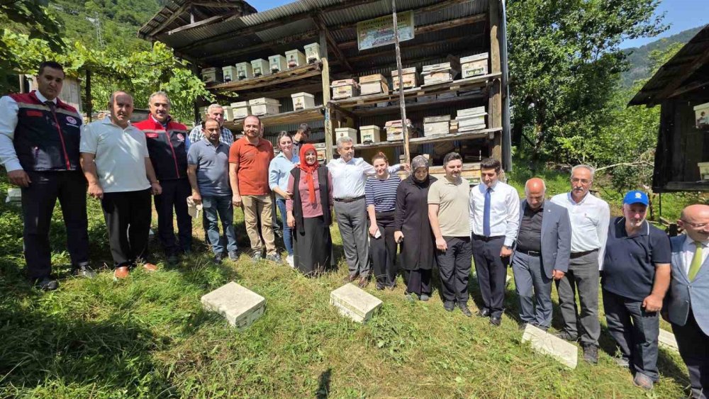 Macahel’de Bal Sezonu Açıldı.. İlk Sağım UNESCO Rezerv Alanında Gerçekleştirildi!