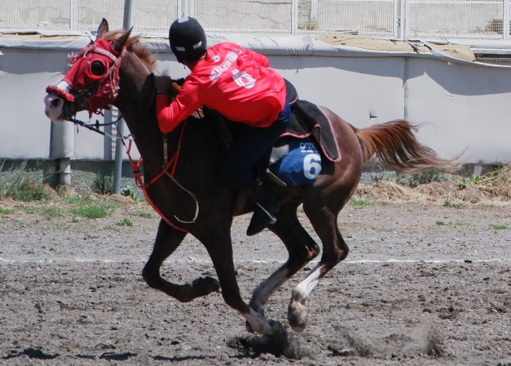 Erzurum’da Cirit Müsabakaları Devam Ediyor.. Lig Karşılaşmalarında Yeni Önlemler!