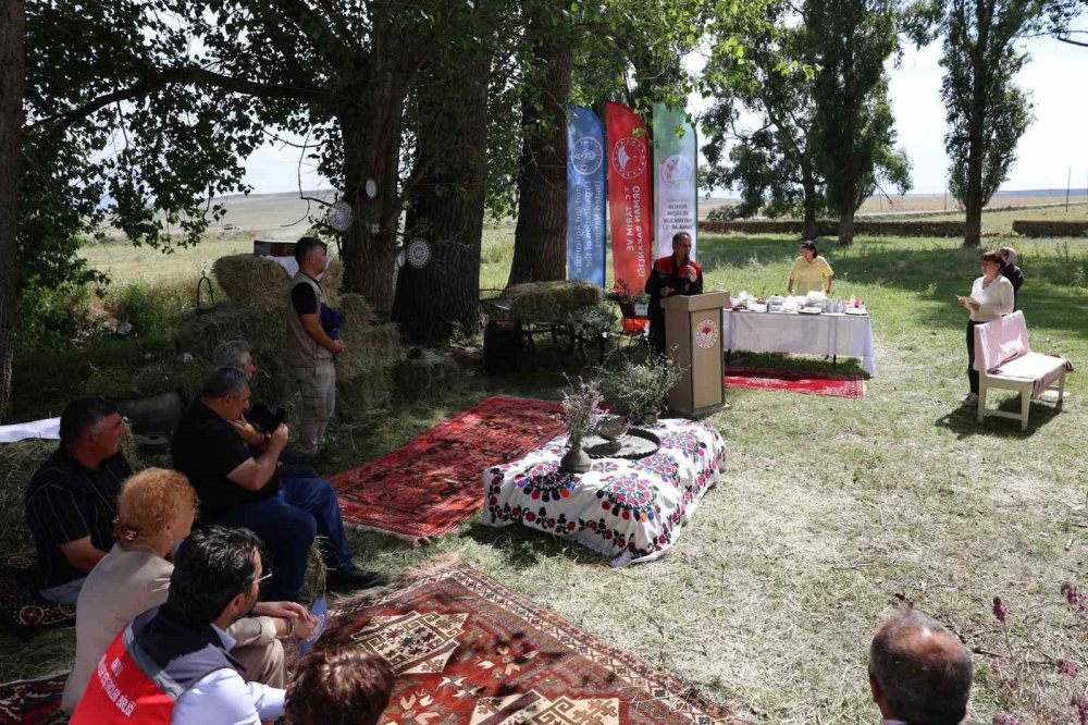 Kars’ta Meraların Geleceği İçin Buluşma.. Sürdürülebilir Hayvancılık Masaya Yatırıldı!