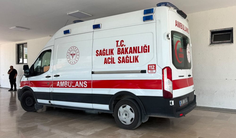 Iğdır’da Yılan Sokması Vakaları Arttı.. Uzmandan Yanlış Müdahale Uyarısı!