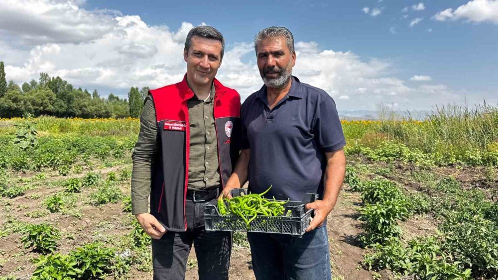 Ağrı’da Çiftçinin Bostanı Dikkat Çekiyor.. Aynı Bahçede Sebze, Meyve ve Tahıl!