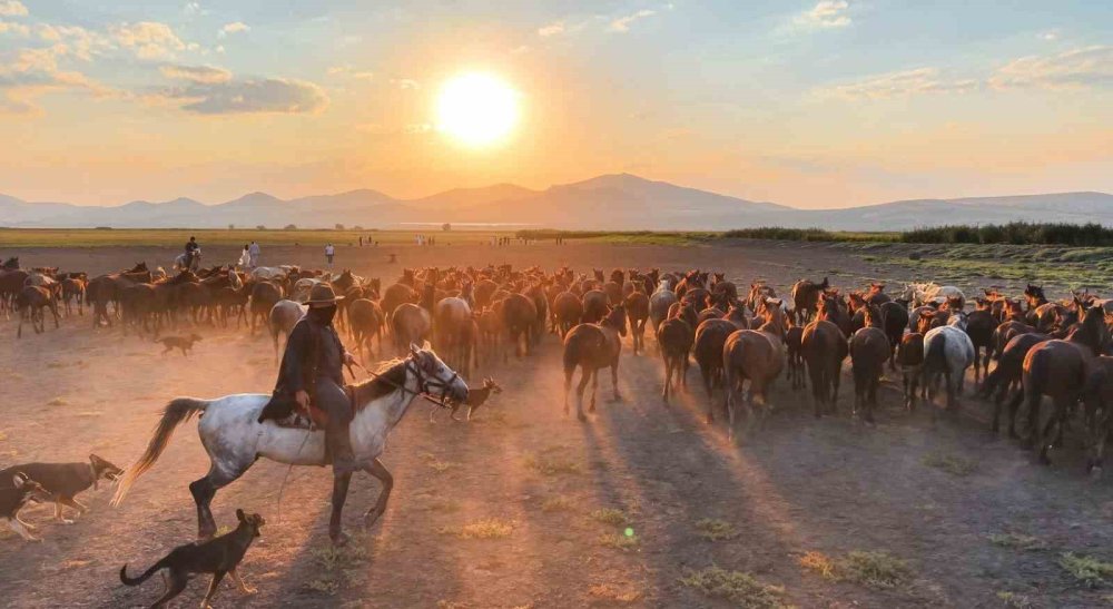 Erciyes Eteklerinde Yılkı Atlarının Gün Batımı Koşusu.. Ortaya Kartpostallık Görüntüler Çıktı!