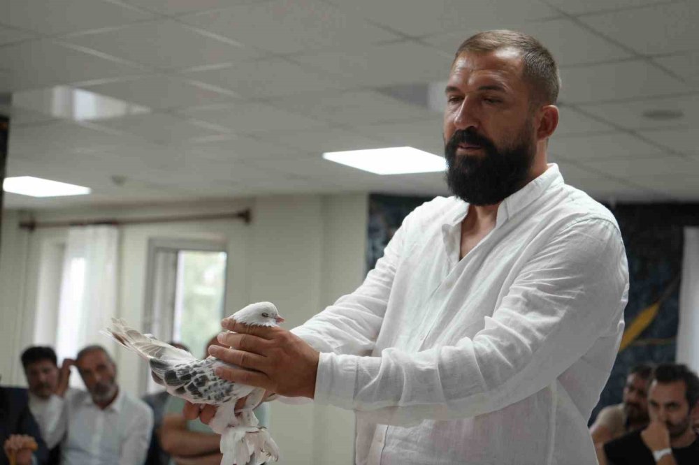 Erzurum’da Şebap Güvercin Şöleni.. Ev ve Araba Fiyatındaki Kuşlar Sergilendi!