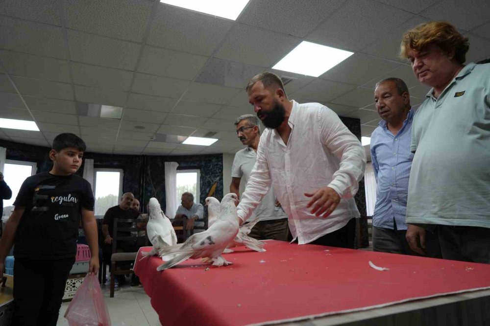 Erzurum’da Şebap Güvercin Şöleni.. Ev ve Araba Fiyatındaki Kuşlar Sergilendi!