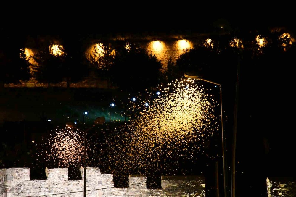 Kura Nehri’nde Beyaz Gece.. Yüz Binlerce “Bir Günlük” Ölüm Uçuşuna Çıktı!