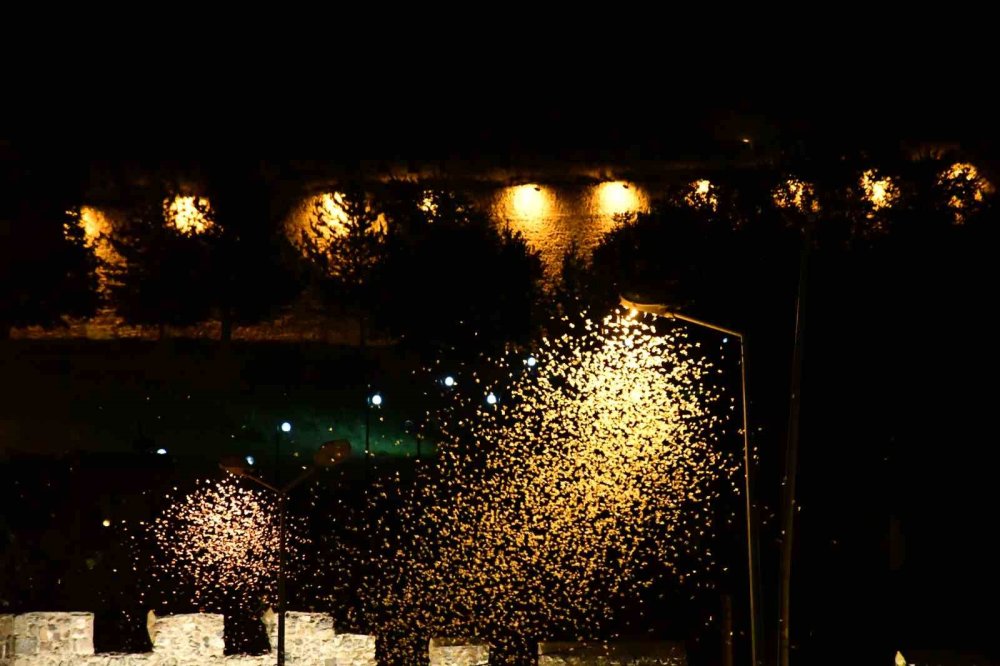 Kura Nehri’nde Beyaz Gece.. Yüz Binlerce “Bir Günlük” Ölüm Uçuşuna Çıktı!