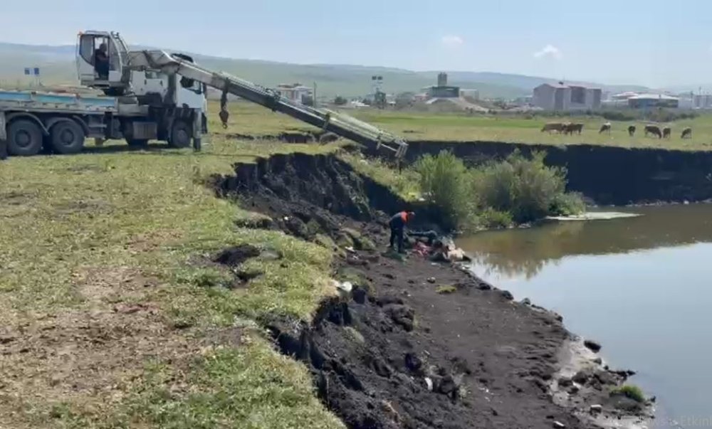 Ardahan’d Bataklığa Saplanan At İçin Ekipler Seferber Oldu.. Vinçle Kurtarıldı!