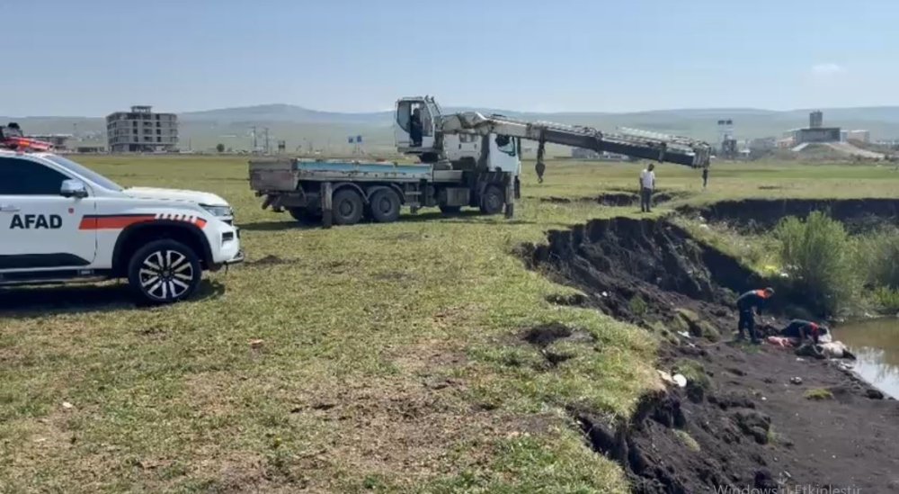 Ardahan’d Bataklığa Saplanan At İçin Ekipler Seferber Oldu.. Vinçle Kurtarıldı!