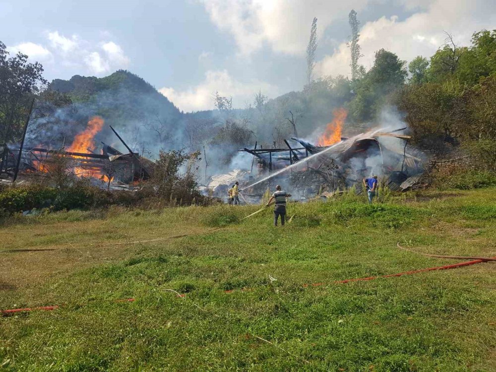Artvin’de Yangın Paniği.. 2 Evdeki 4 Hanenin Yaşam Alanı Zarar Gördü!