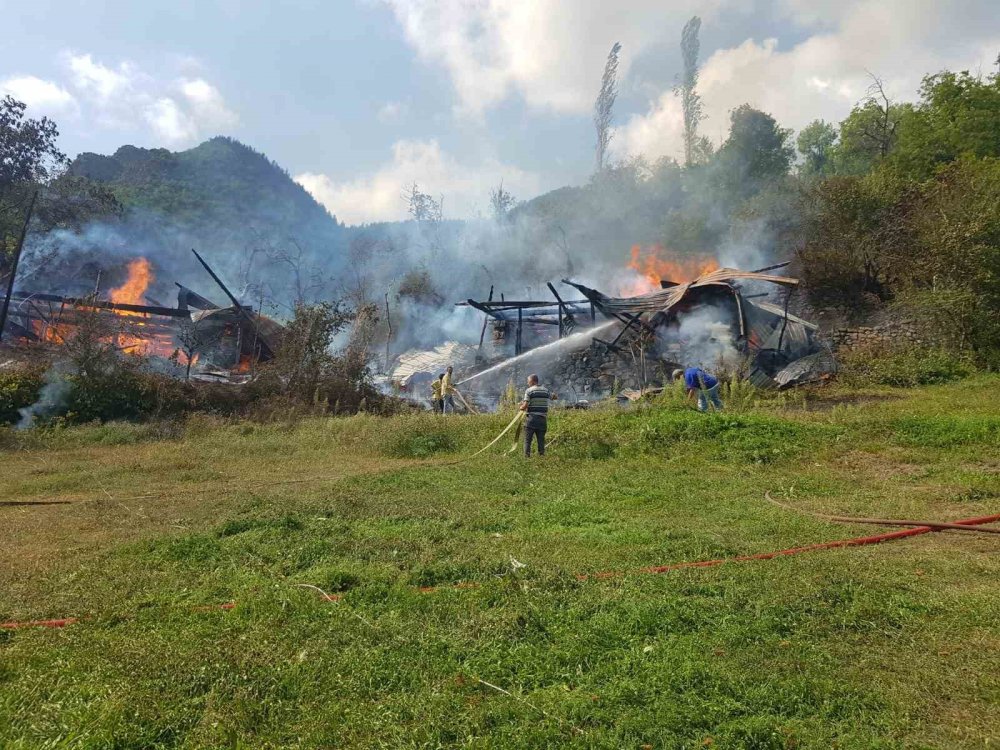 Artvin’de Yangın Paniği.. 2 Evdeki 4 Hanenin Yaşam Alanı Zarar Gördü!