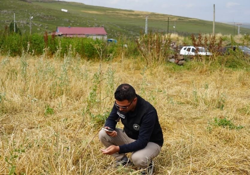 Ardahan Çıldır’da Dolu ve Aşırı Yağış Tarım Alanlarını Vurdu.. Ekipler Sahada!
