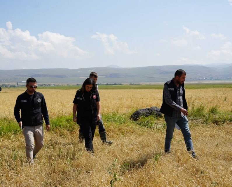 Ardahan Çıldır’da Dolu ve Aşırı Yağış Tarım Alanlarını Vurdu.. Ekipler Sahada!