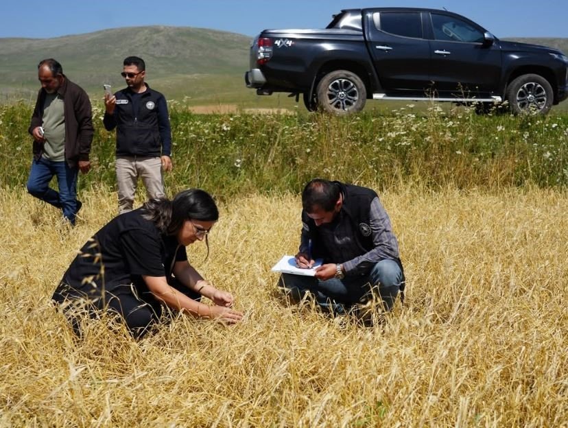 Ardahan Çıldır’da Dolu ve Aşırı Yağış Tarım Alanlarını Vurdu.. Ekipler Sahada!