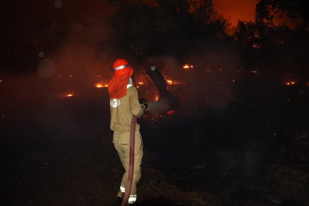 Fethiye’deki Orman Yangını Evlere Sıçradı, Tahliye Çalışmaları Sürüyor