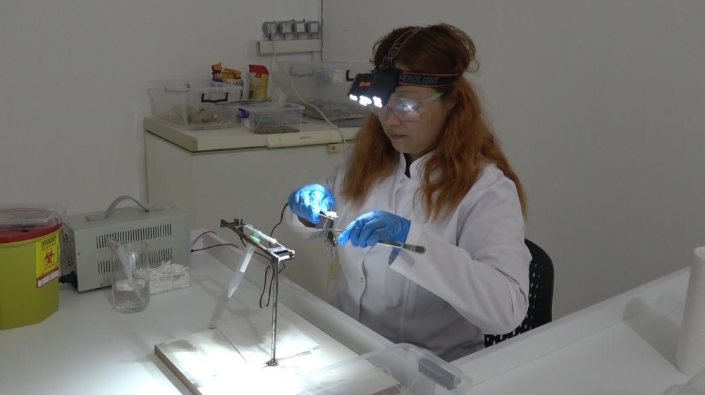 Samsun’da Dikkat Çeken Yatırım.. Akrep Yetiştiriciliği ve Zehir Sağım Merkezi Kuruldu!