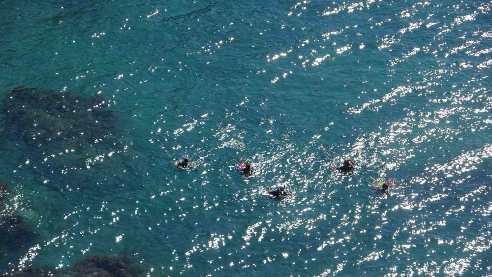 35 Metrelik Falezlerden Halatlarla Sarkıp Temizlik Yaptılar
