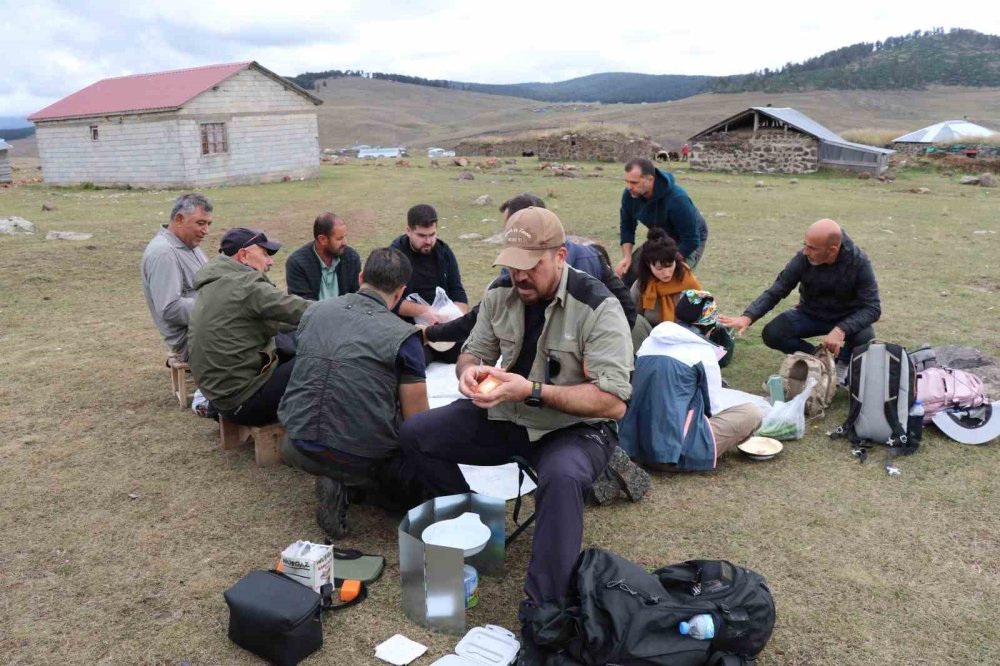 Yasamal Yaylaları’nda Doğayla İç İçe 15 Kilometrelik Rota.. Üç İlin Kesişiminde Trekking!