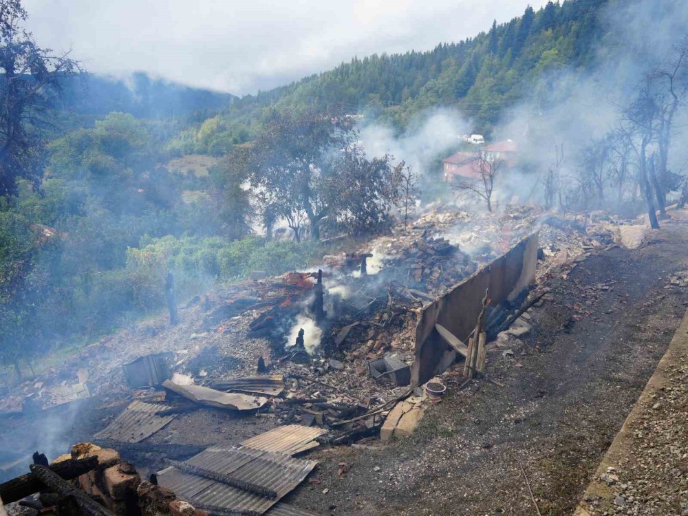 Kastamonu’da Köy Yangınının Bilançosu Ortaya Çıktı.. 11 Ev ve Çok Sayıda Yapı Yandı!