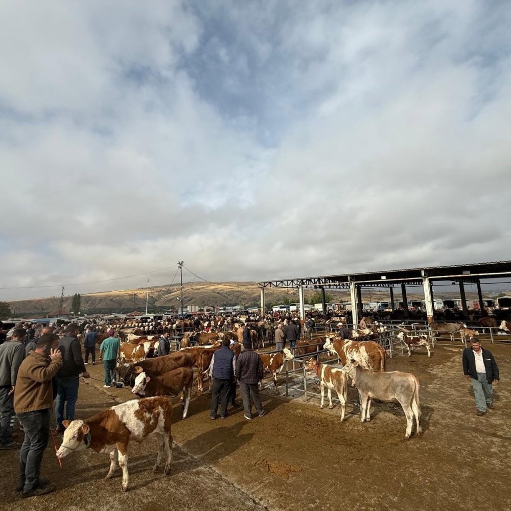 Yozgat’ta Hayvan Pazarları Kapatıldı