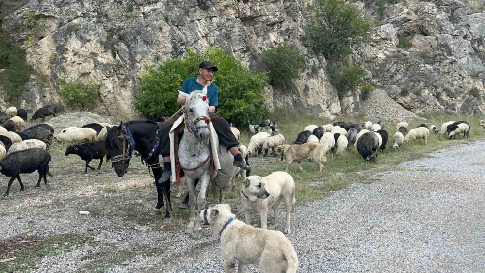 Bilbilan Yaylası’nda Sezon Sona Erdi.. Besiciler Sürüleriyle Alçak Meralara İniyor!
