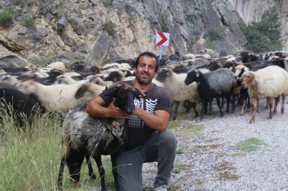 Bilbilan Yaylası’nda Sezon Sona Erdi.. Besiciler Sürüleriyle Alçak Meralara İniyor!