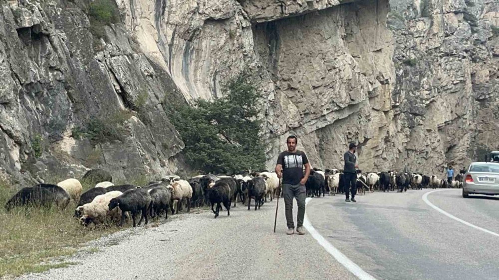 Bilbilan Yaylası’nda Sezon Sona Erdi.. Besiciler Sürüleriyle Alçak Meralara İniyor!