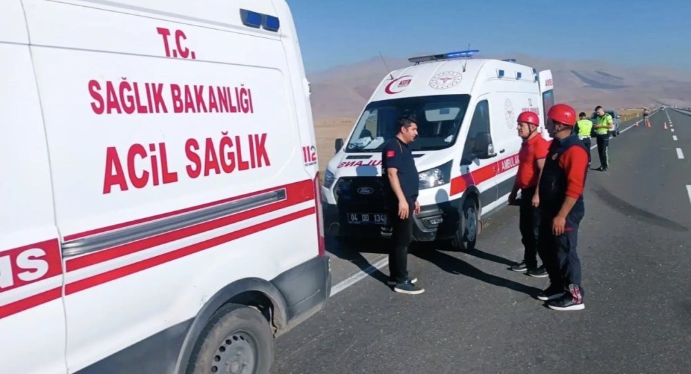 Iğdır’da Yola Çıkan Eşek Kazaya Neden Oldu.. Kamyon Devrildi, 2 Kişi Yaralandı!