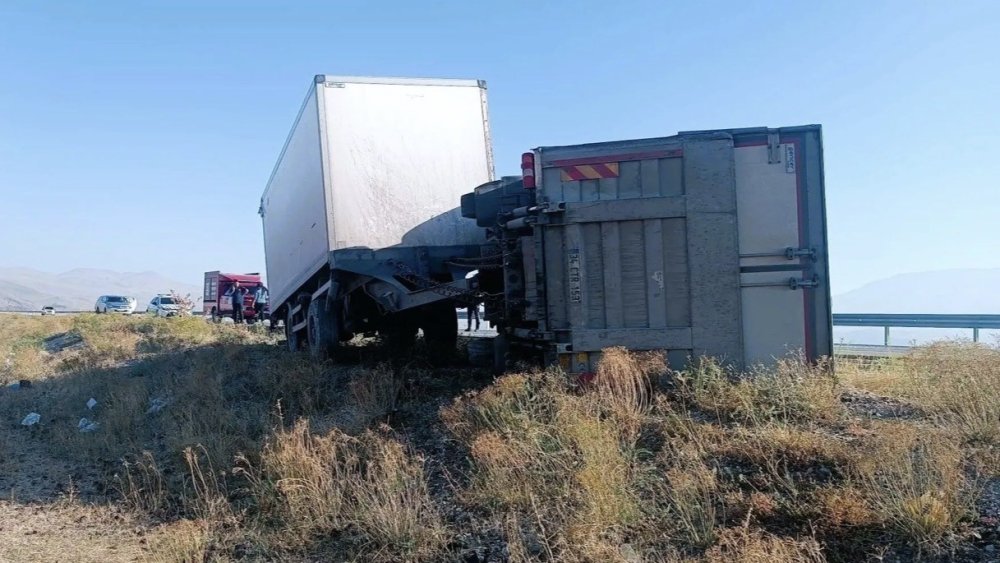 Iğdır’da Yola Çıkan Eşek Kazaya Neden Oldu.. Kamyon Devrildi, 2 Kişi Yaralandı!