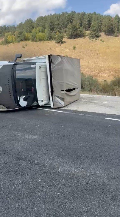 Sarıkamış’ta Büyükbaş Hayvan Taşıyan Kamyonet Devrildi.. 3 Hayvan Telef Oldu!