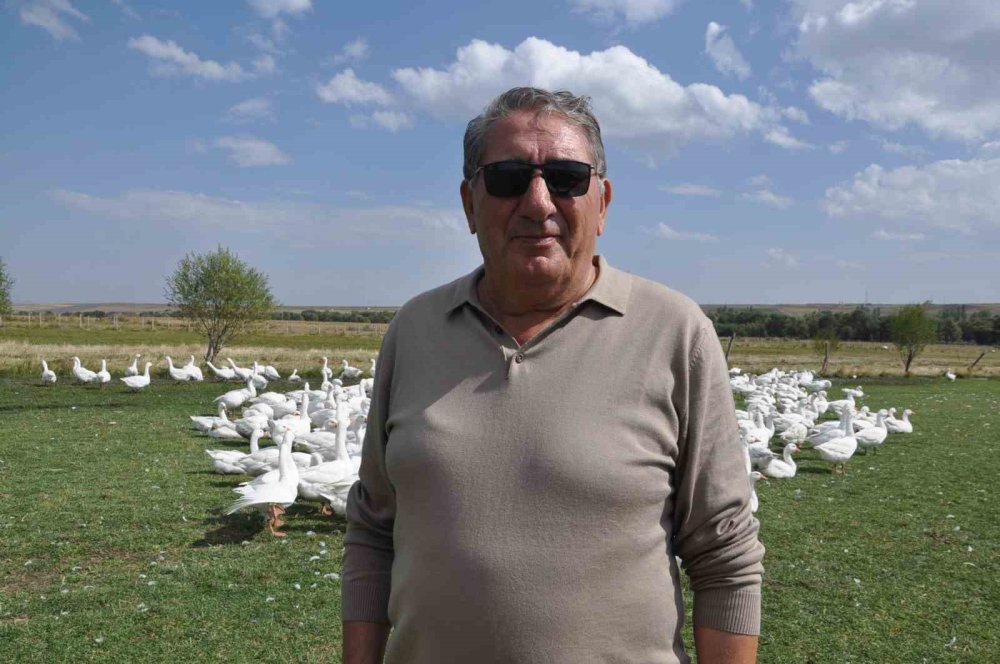 Belediye Başkanlığından Kaz Yetiştiriciliğine.. Ali Yeğin Susuz’da Kaz Yetiştiriyor!