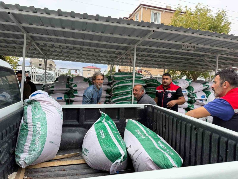 Iğdır'da Sertifikalı Buğday Tohumu Dağıtıldı.. 160 Üreticiye Yüzde 50 Hibe!