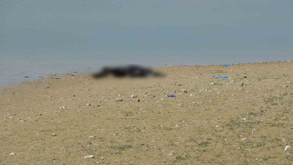 Malatya’da Gölette Erkek Cesedi Bulundu
