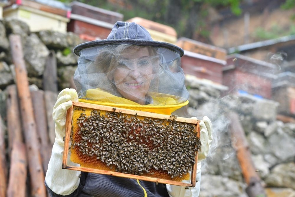 Artvin’de Arıcılık ile Turizm Buluşuyor.. Şavşat’ta Yeni Rota İçin Çalışma!