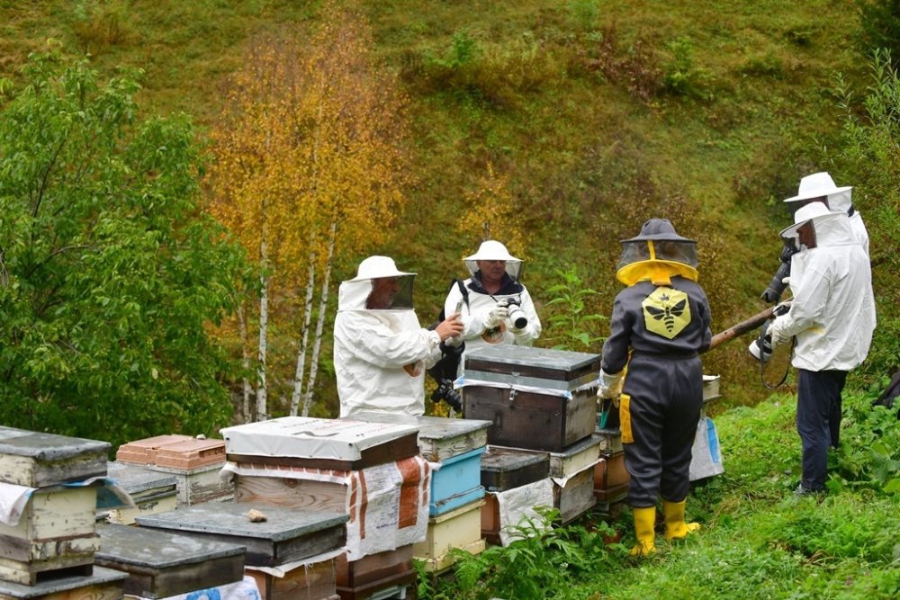 Artvin’de Arıcılık ile Turizm Buluşuyor.. Şavşat’ta Yeni Rota İçin Çalışma!