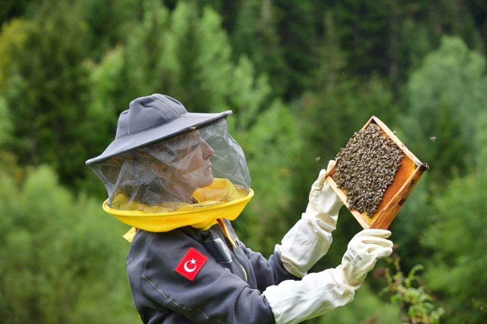 Artvin’de Arıcılık ile Turizm Buluşuyor.. Şavşat’ta Yeni Rota İçin Çalışma!