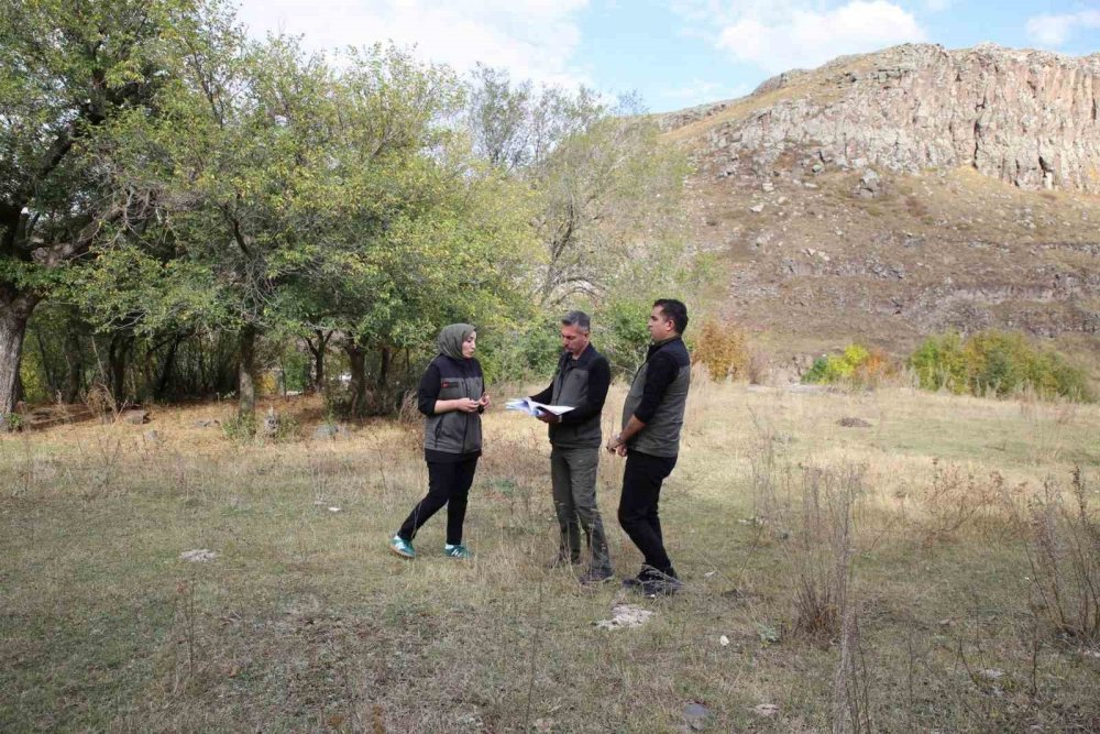 Kars’ta Kent Ormanı Planı Gündemde.. Yeni Yeşil Alan İçin Saha İncelendi!