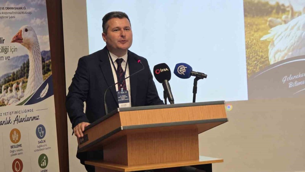 Türkiye Kaz Varlığında Dünyada 7’nci Sırada.. Üretimde Yeni Veriler Açıklandı!
