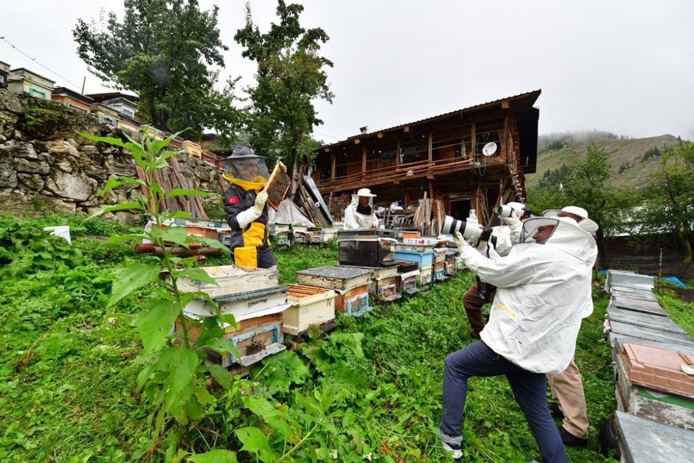 Artvin Arıcılar Birliği’nden Dikkat Çeken Öneri.. Artvin Balı Eczanede Satılsın!