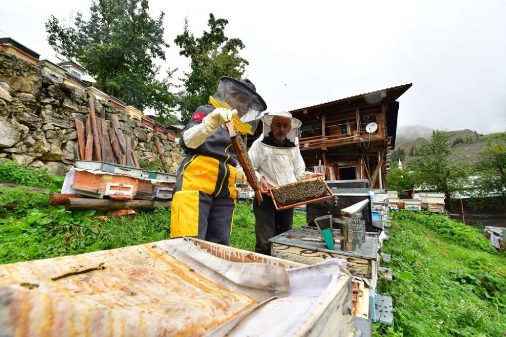 Artvin Arıcılar Birliği’nden Dikkat Çeken Öneri.. Artvin Balı Eczanede Satılsın!