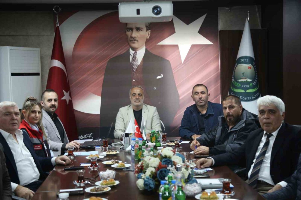 Çoruh Vadisi’nin Butko Zeytininde Hasat Başladı.. Tescil İçin Gözler 2026’da!