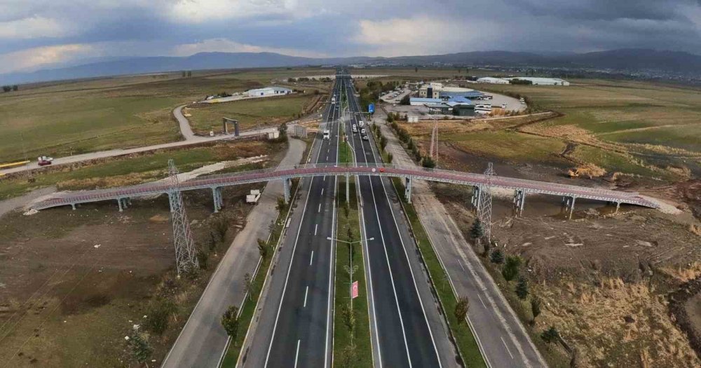 Erzurum’da Hayvanların Güvenli Geçişi İçin Yapılan Ekolojik Köprü Tamamlandı