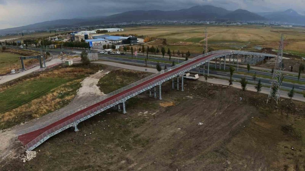 Erzurum’da Hayvanların Güvenli Geçişi İçin Yapılan Ekolojik Köprü Tamamlandı