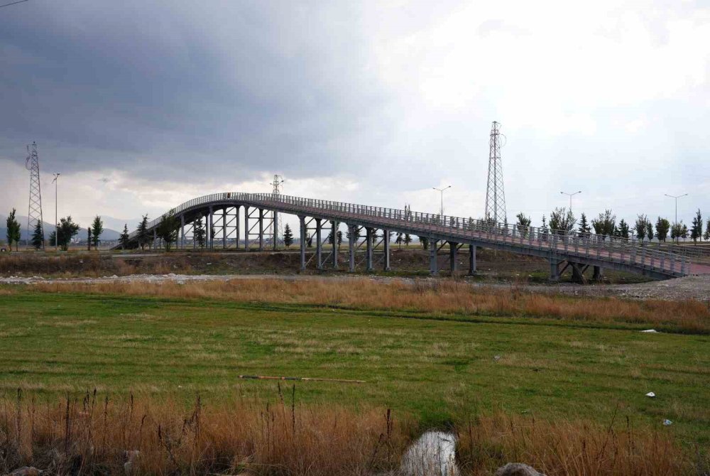 Erzurum’da Hayvanların Güvenli Geçişi İçin Yapılan Ekolojik Köprü Tamamlandı