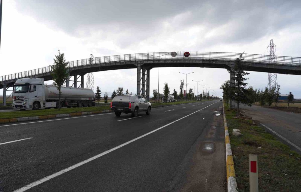 Erzurum’da Hayvanların Güvenli Geçişi İçin Yapılan Ekolojik Köprü Tamamlandı