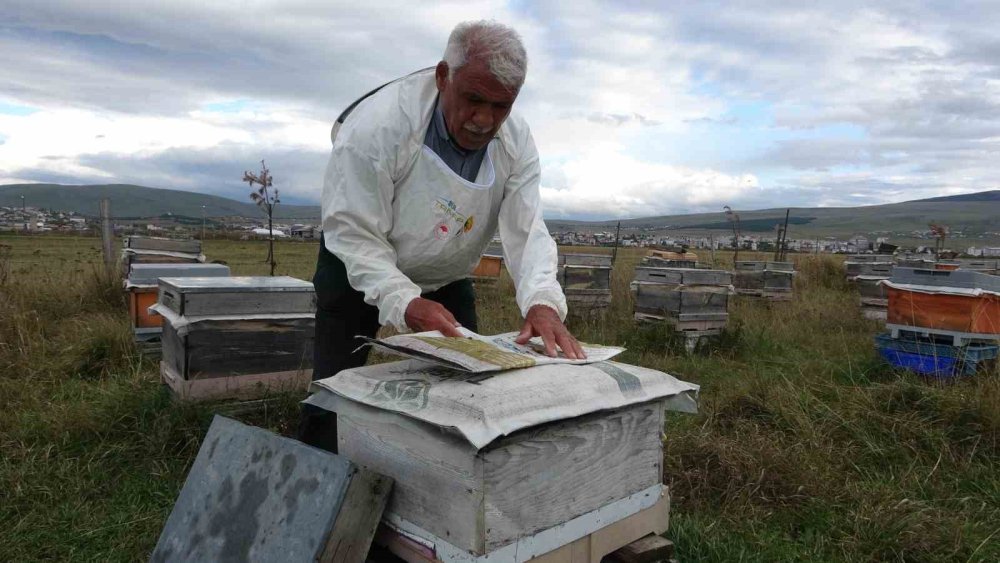 Ardahan Arı Yetiştiricileri Birliği’nden Kış Bakımı Vurgusu.. Varroa Mücadelesi de Önem Taşıyor!