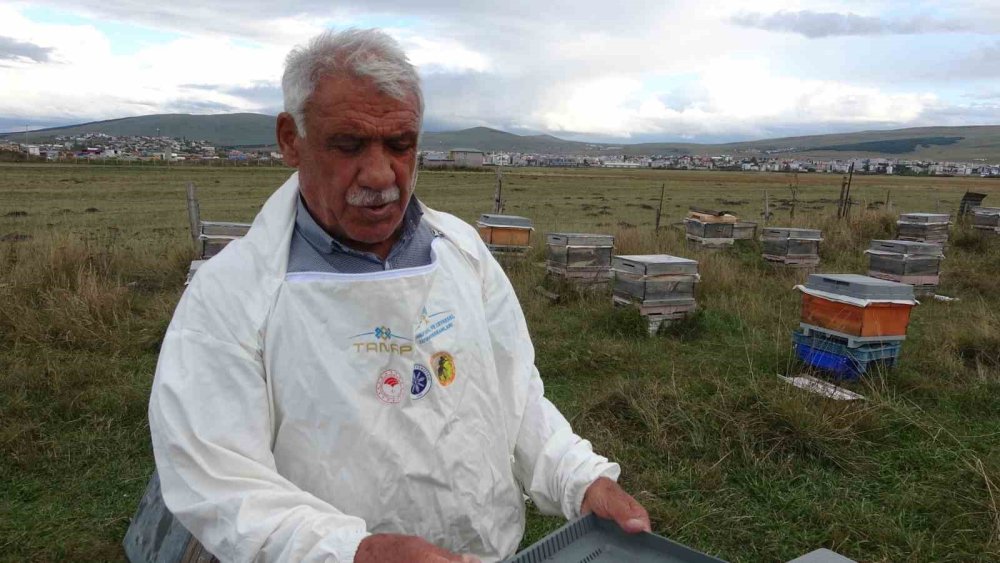Ardahan Arı Yetiştiricileri Birliği’nden Kış Bakımı Vurgusu.. Varroa Mücadelesi de Önem Taşıyor!